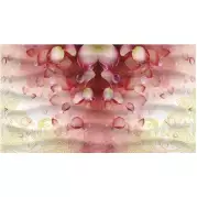 Декор Ceradim Allure 25x45