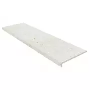 Ступень Exagres Litos Artico Peldano Recto 120 33x120