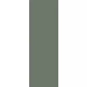 Плитка Paradyz Nightwish Green Rekt 25x75 настенная
