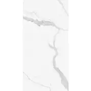Керамогранит 66121 Statuario Puro 60x120 Cerdomus