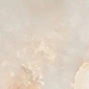 Керамогранит Ceradim Onyx Orlam бежевый полированный 60x60