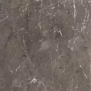 Керамогранит Rex Ceramiche Heritage Luxe Brown Glossy 6mm Ret 120x120 774839