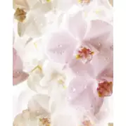 Панно Cerrol Porto Flowers Flowers 75x60 (комплект)