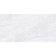 Керамогранит Telunpu Ceramics Porcelanico Roman Stone Marble Platinum Gray Rectificado 60x120 12TD003
