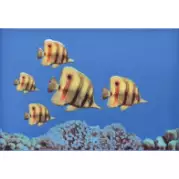 Декор Atem Mono Fish 3 27.5x40
