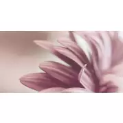 Декор Paradyz Sorenta Bianco Durst Kwiaty A 30x60