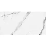 Керамогранит Fanal Iceberg Rec 60x120 120E001