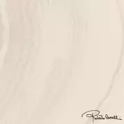 Керамогранит 558805 Agata Bianco Firma Ret 60x60 Roberto Cavalli