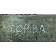 Керамогранит 1052959 Havana CUBA LIBRE MIx DEC 10x20 Cir Ceramiche