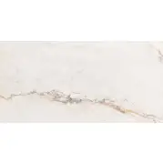 Керамогранит Pamesa Ceramica Cr.Pisa Gold Compacglass Rect 60x120