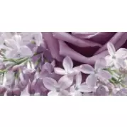 Декор Нефрит Фокстрот Фиолетовый Д 4 25x50