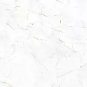 Плитка Alma Ceramica Florian 61x61 напольная TFU04FLN000