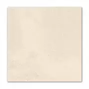 Настенная плитка PT02361 Ravena Natural 20x20 Mainzu