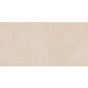 Керамогранит Alma Ceramica Stockholm сатинированный 57x114 GFA114STM05CR