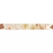 Бордюр Keros Ceramica Dance Cen Vanilla 5x70