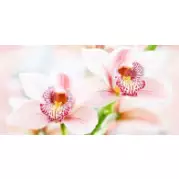 Панно Нефрит Меланж Орхидеи 11-440 50x100 (комплект)