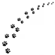 Декор Артвалентто Black Cat 3 10x10