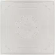Напольная плитка Fantasy Pav. 40.2x40.2 Venus Ceramica