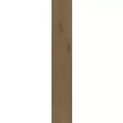 Керамогранит Atlas Concorde Italy Entice Browned Oak Natural Grip 20x120 A844