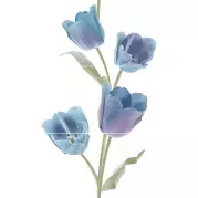 Панно Keros Ceramica Varna Tulips Frios 50x75