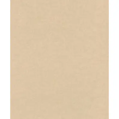 Флизелиновые обои Rasch Textil Alliage 297545