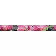Бордюр Cerrol Porto Bambu and Orchid listwa 6x60