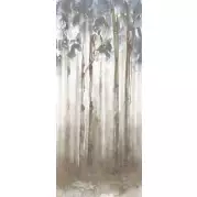 Декор Fondovalle Dream Woods 120x278 DRM099