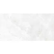 Плитка Alma Ceramica Persey 24.9x50 настенная TWU2550PRS07