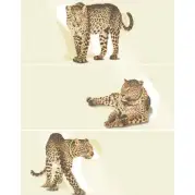 Панно 650H1RL Luxury Insti Leopard Cream 25x60 Emil Ceramica