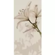 Плитка Gardenia Orchidea Gioia Decoro Lilium 60x120 PF09651 настенная