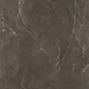 Керамогранит Paradyz Ibis Antracite Gres Szkl Mat 60x60