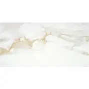 Керамогранит STN Ceramica Camile Gold Pulido Rect 60x120