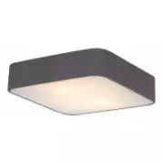 Настенно-потолочный светильник Arte Lamp Cosmopolitan A7210PL-2BK