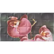 Декор Rocersa Glamour Dec. Orchid C Rosa RSA 31,6x59,3