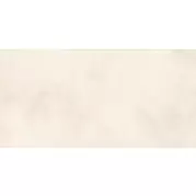 Плитка Alma Ceramica Richard 24.9x50 настенная TWU09RCD004