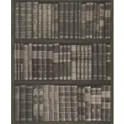 Виниловые обои Rasch Crispy Paper 525823