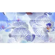 Декор Ceradim Vanda Panno A 25x45