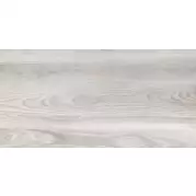 Керамогранит 6000065 Lucido Grigio Rett. Levigato 20x120 Vallelunga