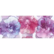 Декор Polcolorit Arco Digital Peonia 25x60