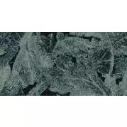 Декор Emil Ceramica Tele Di Marmo Revolution Acanto Verde Saint Denis Lappato 60x120 EHAW