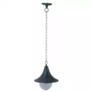 Потолочный уличный светильник Arte Lamp Malaga A1085SO-1BG