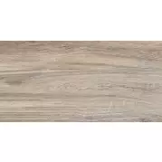 Плитка Alma Ceramica Dublin 24.9x50 настенная TWU09DBL404