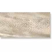 Керамогранит Roberto Cavalli Giaguaro Mask Conchiglia 60x120 0530316