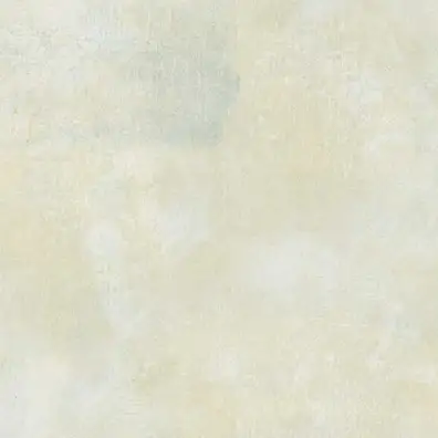 Виниловые обои Chesapeake Sand Dollar DLR54671
