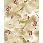 Панно Keros Ceramica Fresh Multi Beige 40x50 A0020471286
