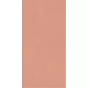 Плитка Paradyz Neve Creative Blush Polysk 9.8x19.8 настенная