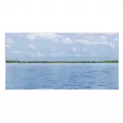 Декор Polcolorit Art Vela D 25x50