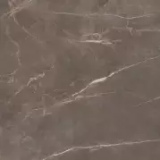 Керамогранит Cifre Ceramica Pav. Venetian Nature Po Rect Brillo 60x60
