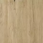 Керамогранит STN Ceramica Balau Antid Natural 60x60
