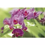 Панно P4D235 Thailand из 4-х плиток 60х40 Муза-Керамика